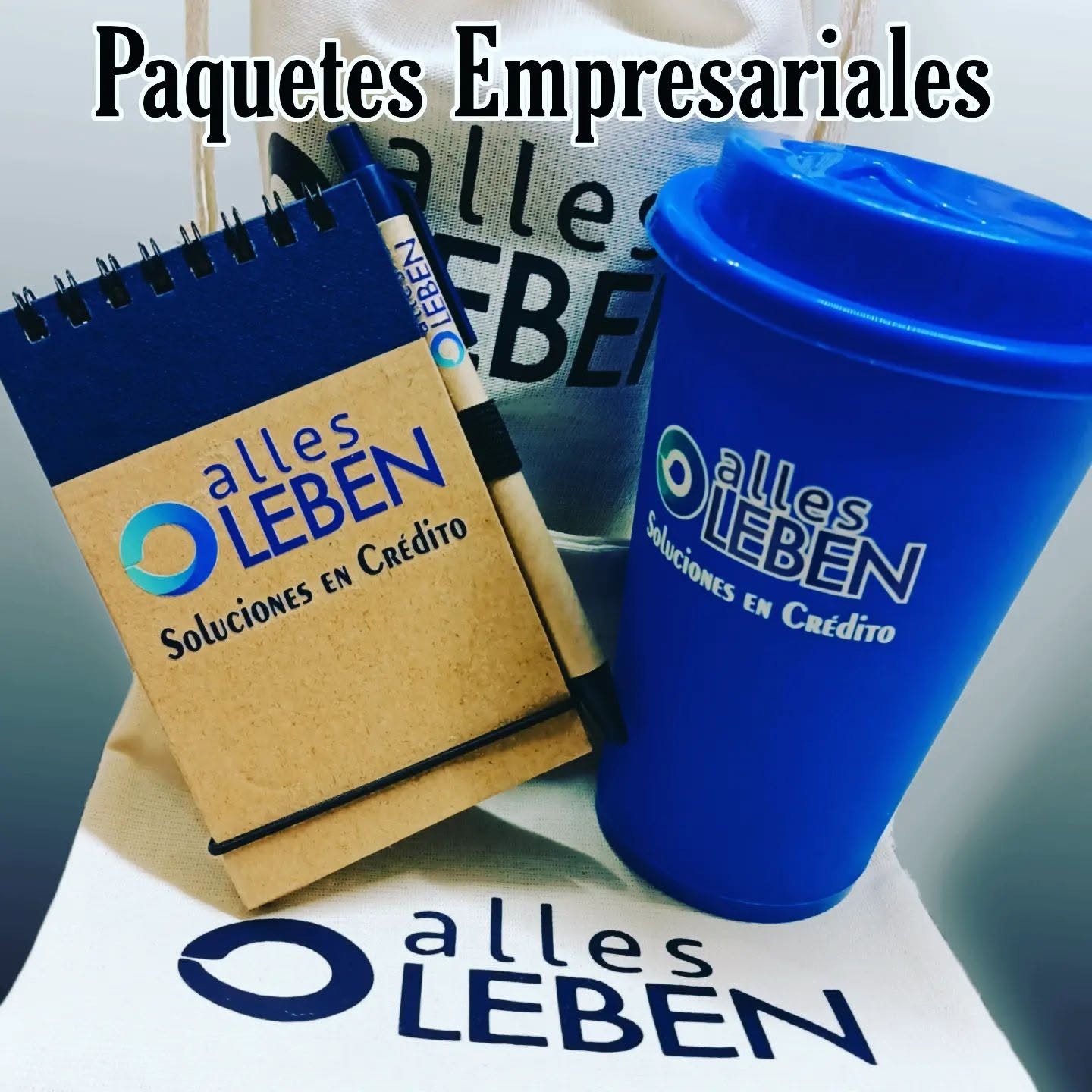 Kit de bienvenida empresarial personalizado Alles Leben